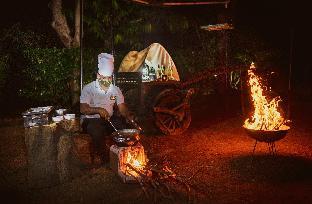 ranthambore tiger machan resort