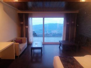 ezzenza jungle livinn