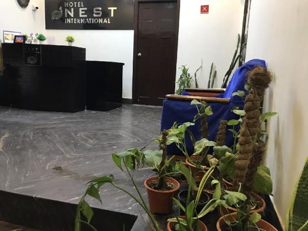 hotel nest international