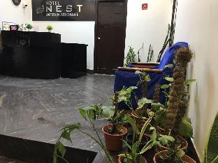 hotel nest international