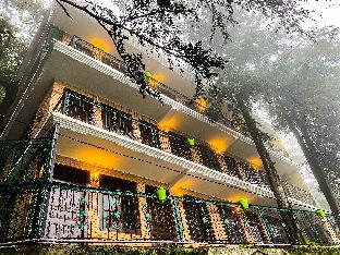 Jakhu Vibes,Shimla>>Manali,4 star