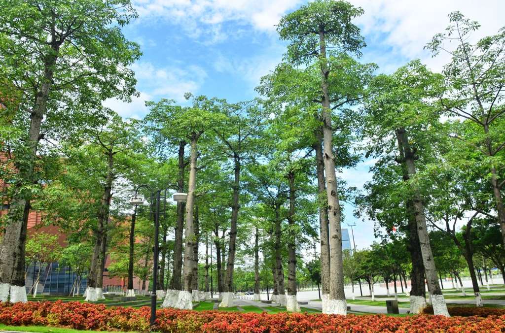 baiyun international convention center