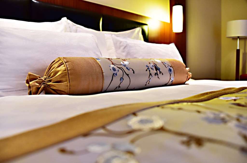 baiyun international convention center