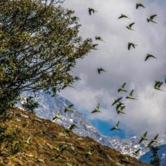 dharamshala