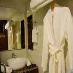 the royal savoy kashmir