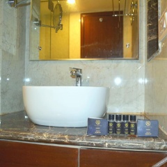 the royal savoy kashmir
