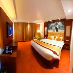 the royal savoy kashmir
