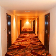 the royal savoy kashmir
