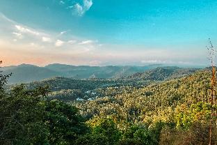 yercaud