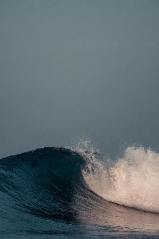 Pointbreak Surf Stay,Varkala>>Thiruvananthapuram,4 star