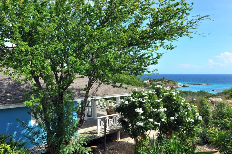 chogogo dive and beach resort curacao