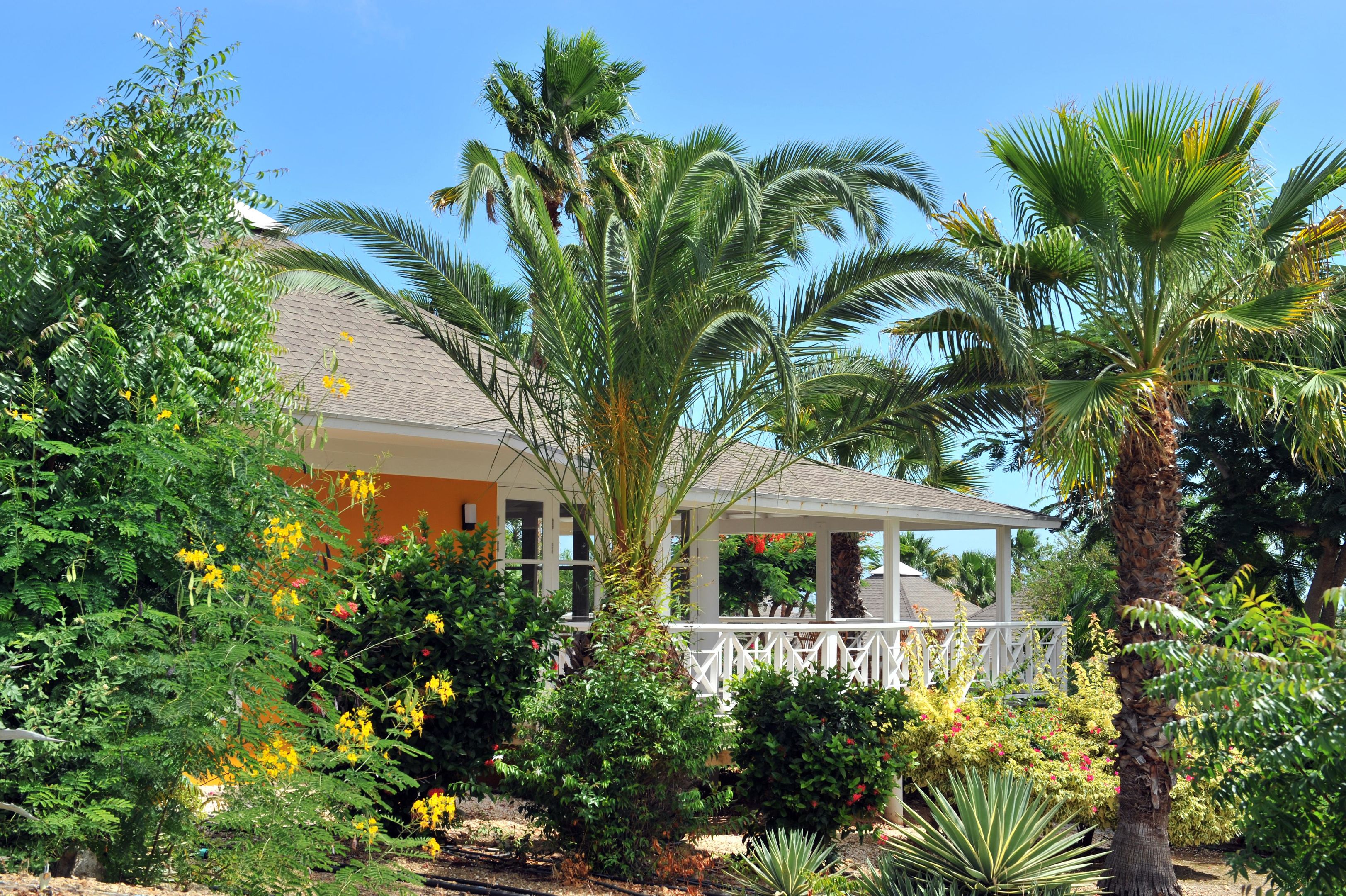 chogogo dive and beach resort curacao
