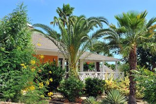 chogogo dive and beach resort curacao