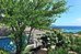 chogogo dive and beach resort curacao