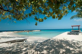chogogo dive and beach resort curacao