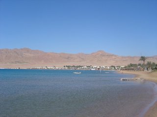 Jaz Dahabeya,Near Dahab Bay,4 star