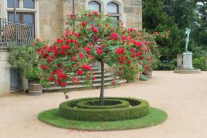hotel schloss eckberg