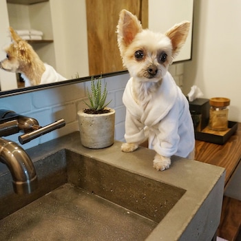 1 hotel central park