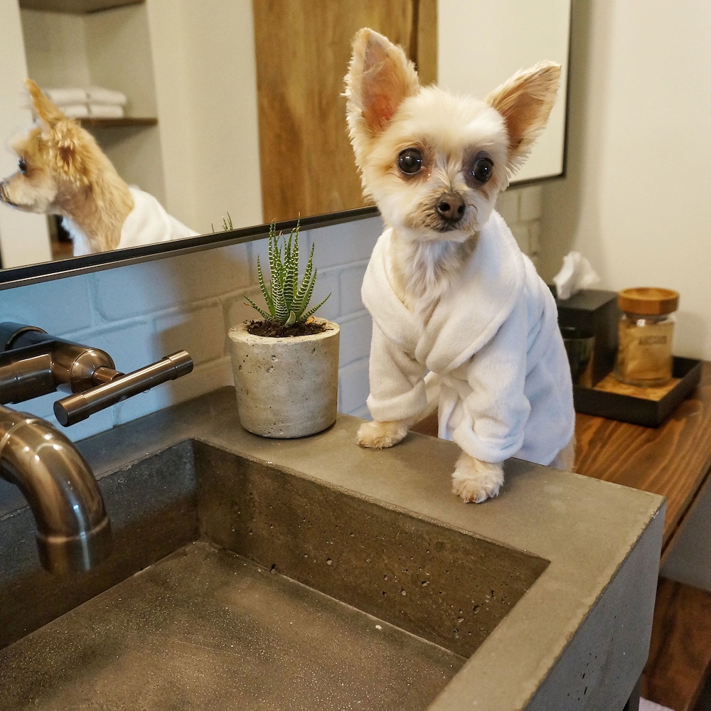 1 hotel central park