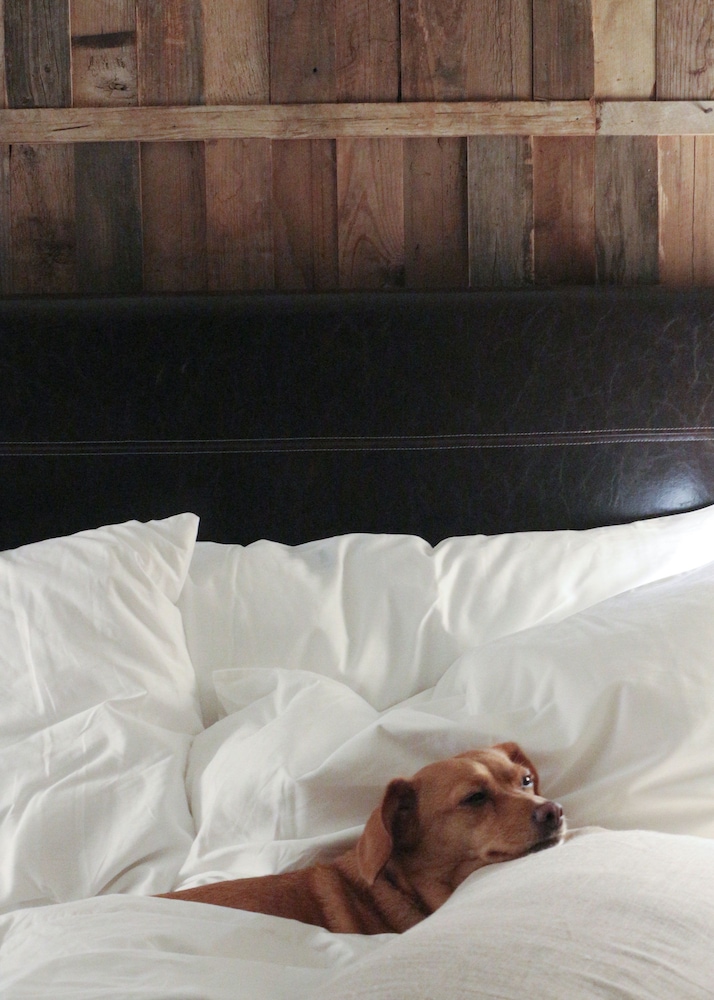 1 hotel central park