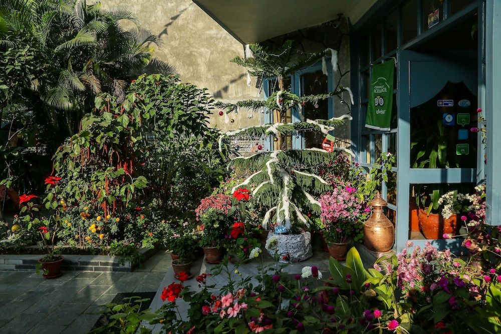 the silver oaks inn