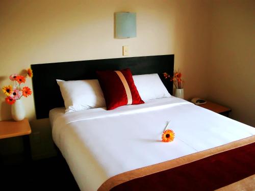anns volcanic rotorua motel