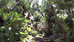 horizon karon beach resort and spa