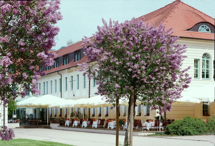 schloss hotel dresden pillnitz