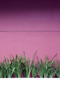 amaris hotel cihampelas bandung