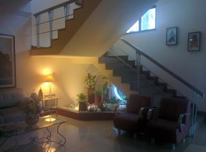 machados plaza hotel