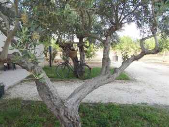 camping lilybeo village