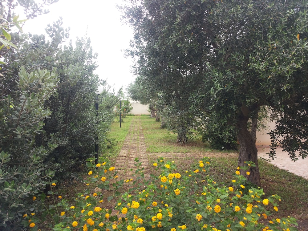 camping lilybeo village