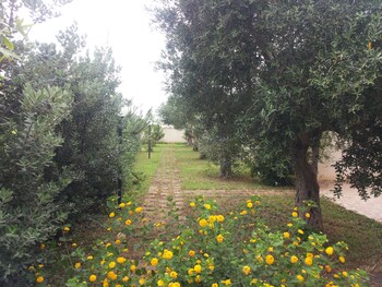 camping lilybeo village