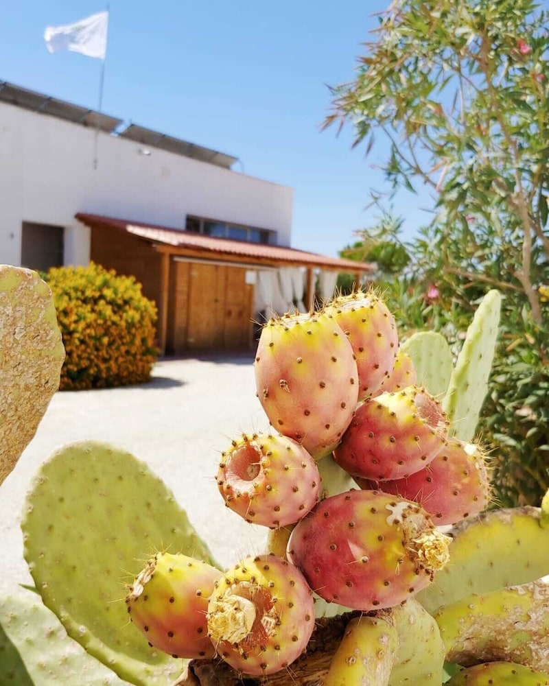 camping lilybeo village