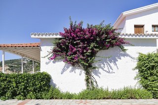 Hotel-Img