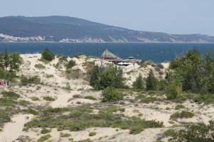sunny beach