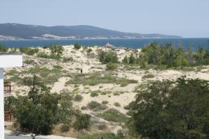 sunny beach