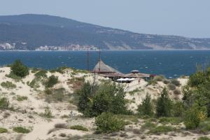 sunny beach