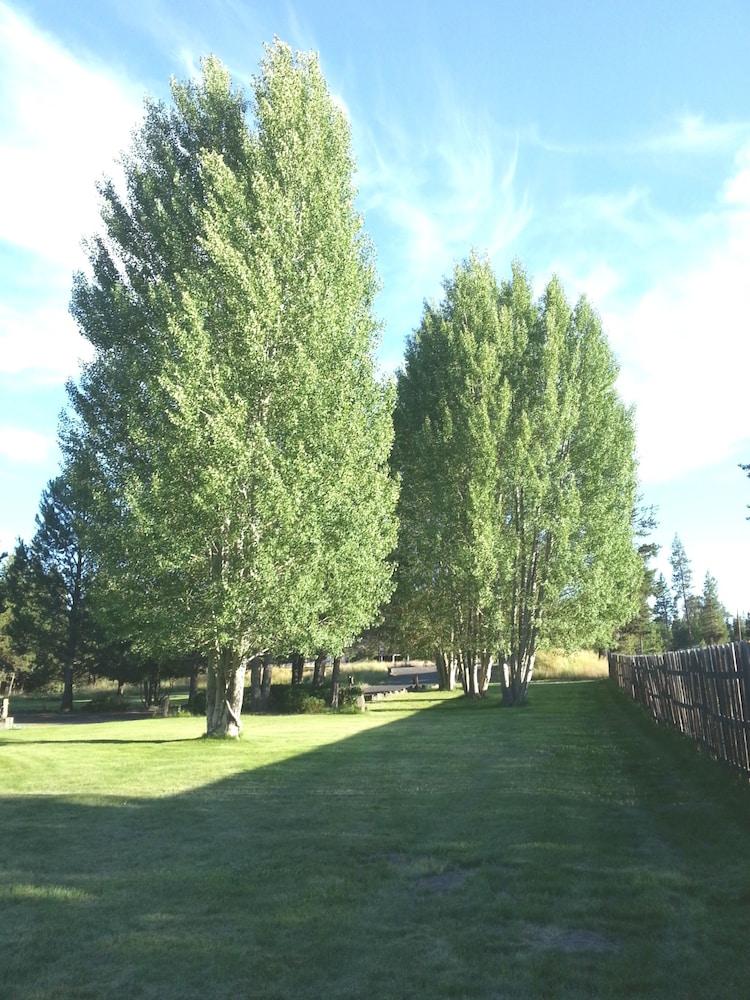 diamondstone guest lodges