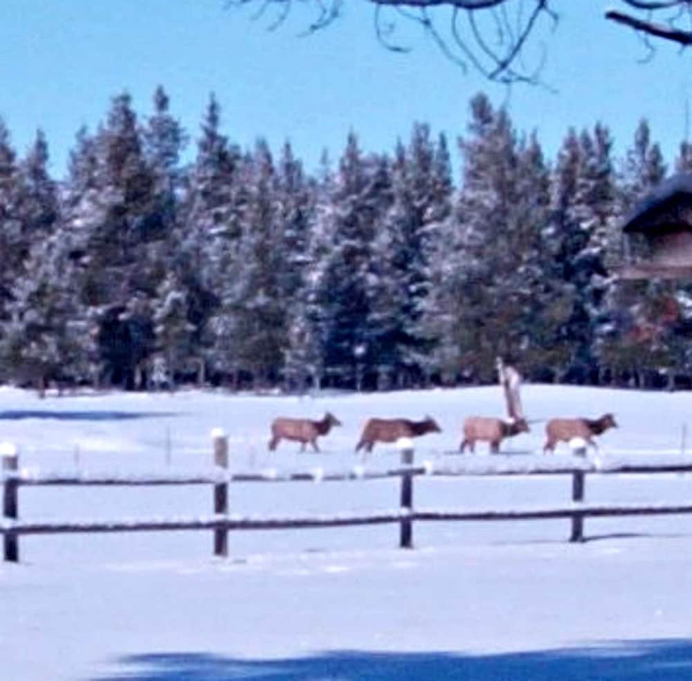 diamondstone guest lodges