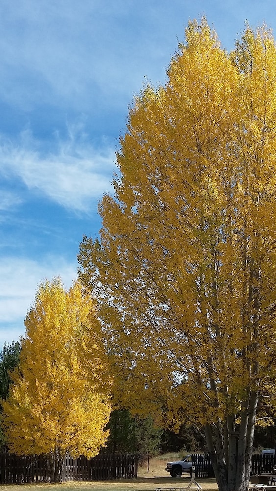 diamondstone guest lodges