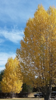 diamondstone guest lodges