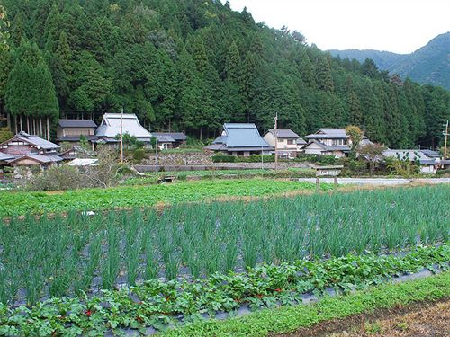 ohara no sato