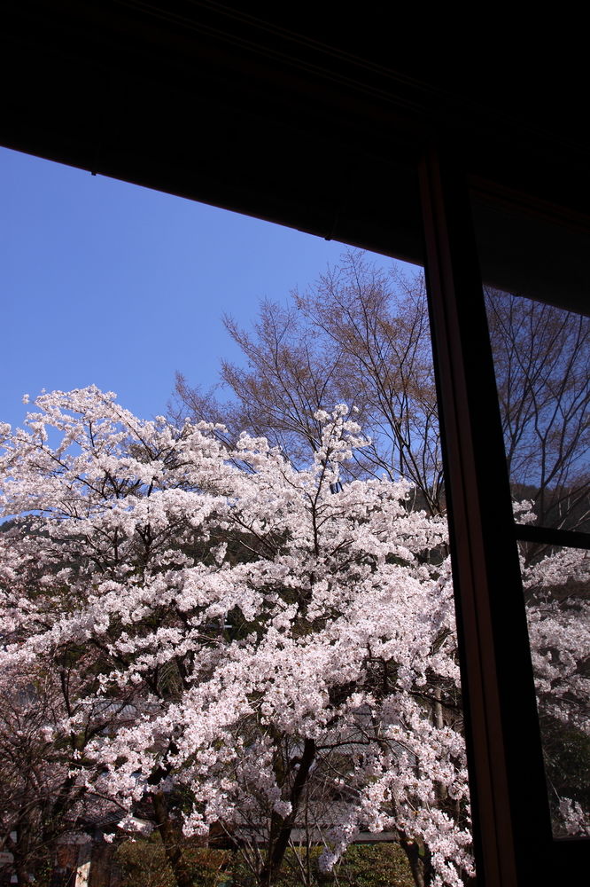 ohara no sato