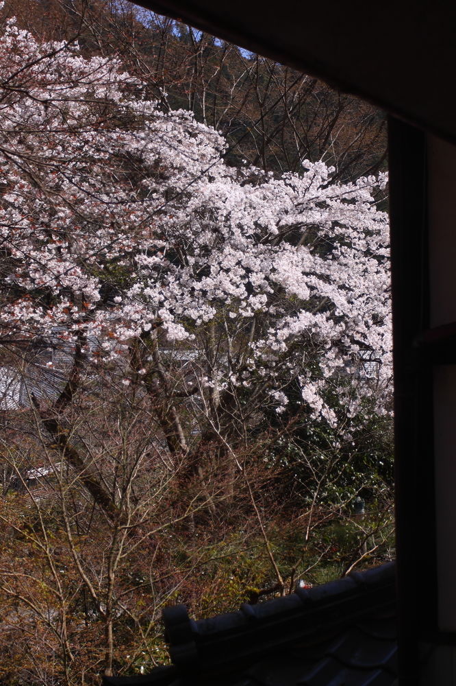 ohara no sato