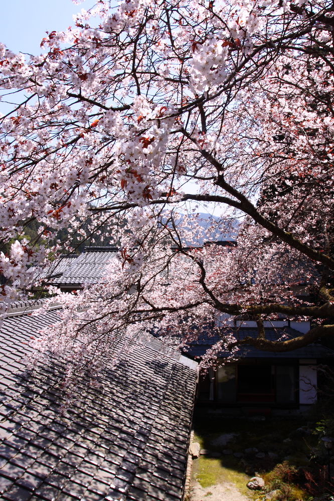 ohara no sato
