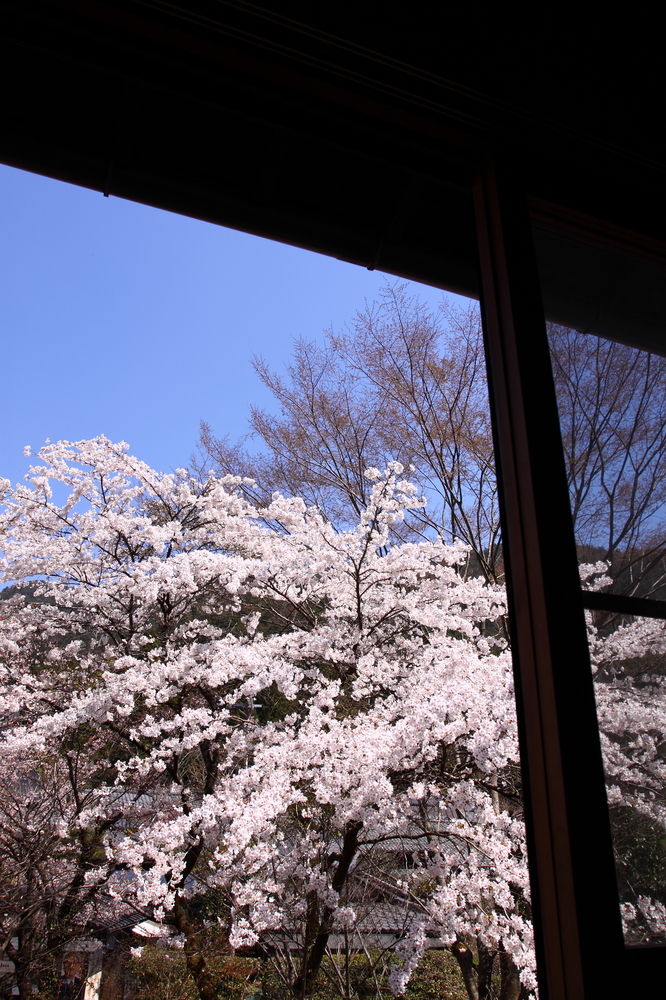 ohara no sato