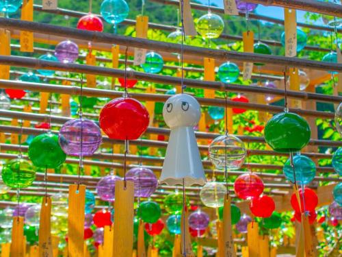 sun members kyoto saga