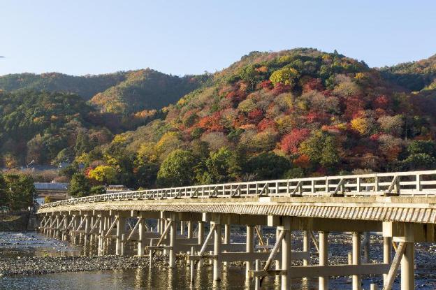 sun members kyoto saga