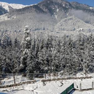 white mountain